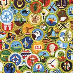 Merit Badge Programs